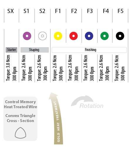 EndoArt Action Gold